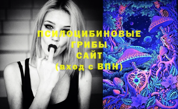 МДМА Алексин