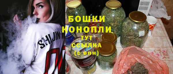 шишки Алексеевка