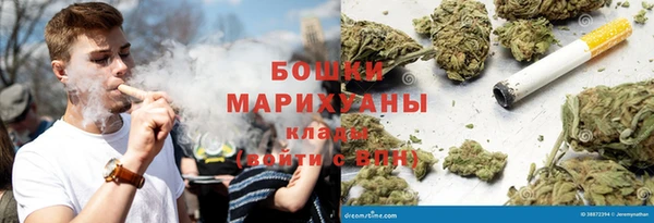 шишки Алексеевка