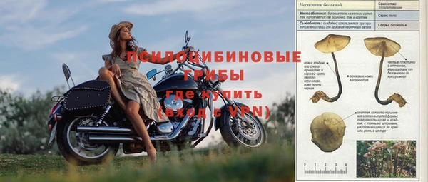 кокс Кинешма