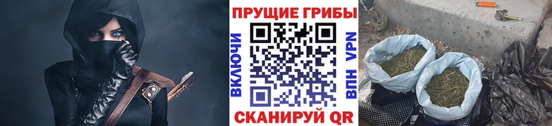 Галлюциногенные грибы GOLDEN TEACHER  Каменск-Уральский 